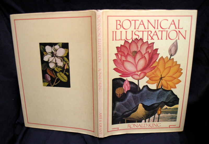 Image for Botanical Illustration.