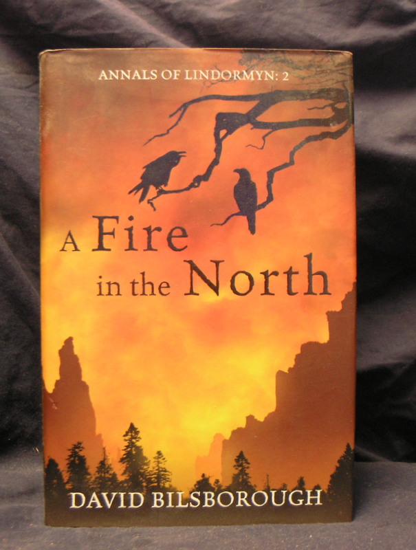 Image for A Fire in the North
