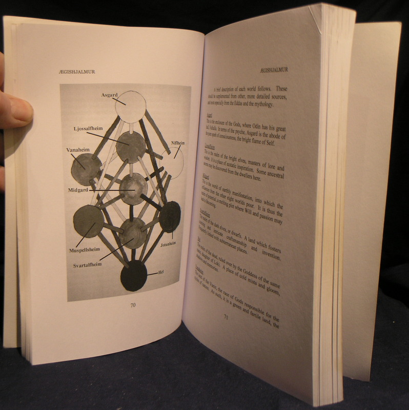 aegishjalmur the book of dragon runes