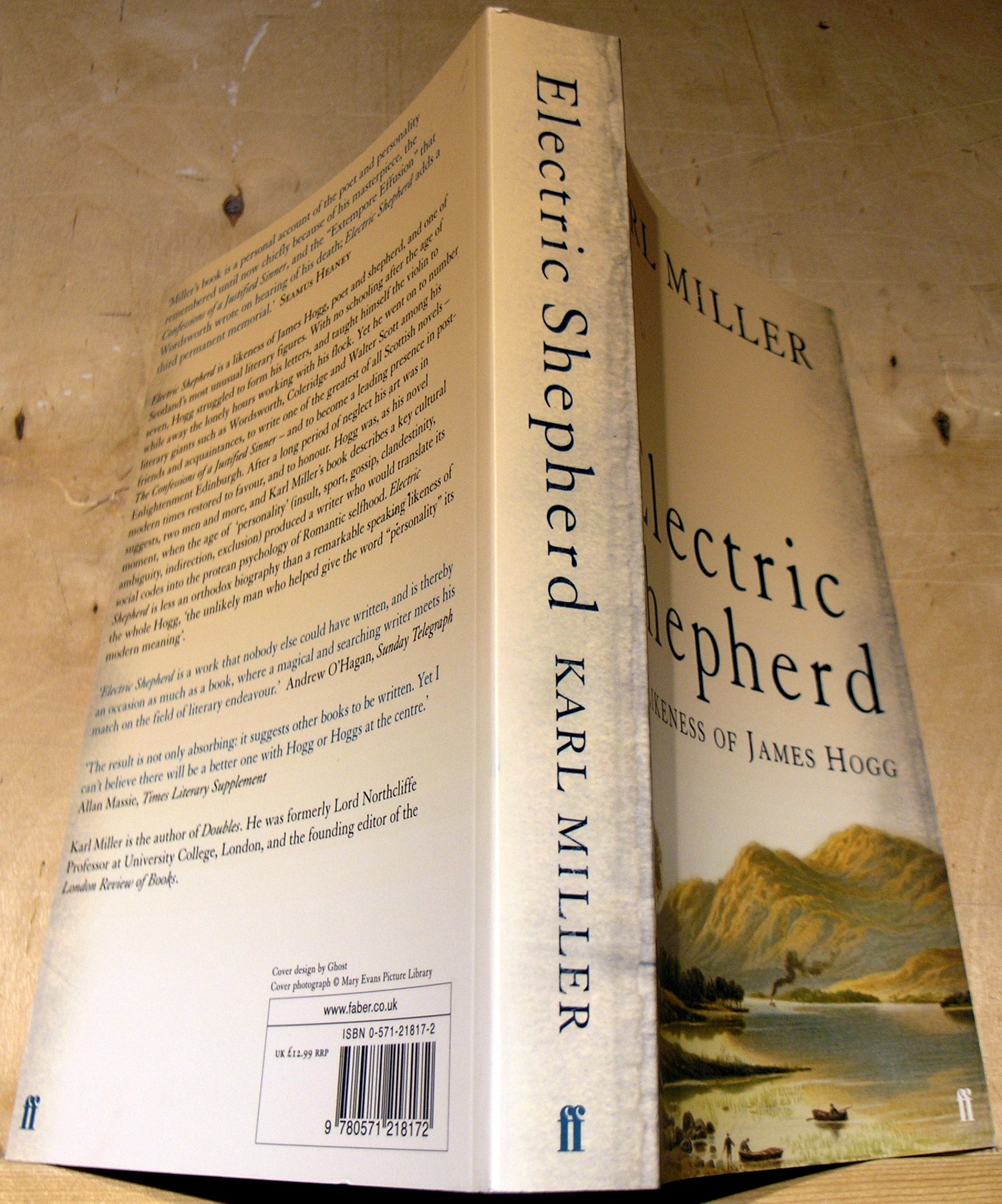 Electric Shepherd: A Likeness of James Hogg
